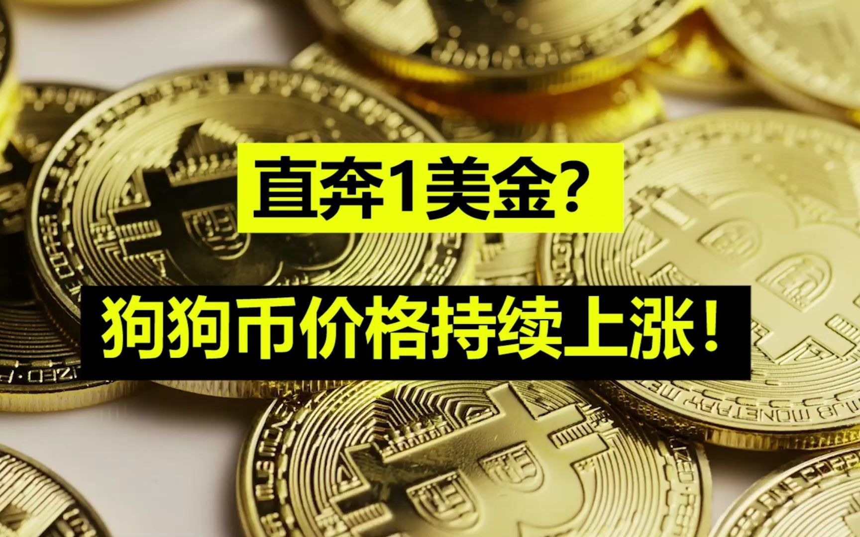 狗狗币暴涨130倍(狗狗币暴涨逾250%) 狗狗币暴涨130倍(狗狗币暴涨逾250%)