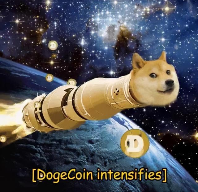 柴犬狗狗币头像(柴犬狗狗币头像图片大全) 柴犬狗狗币头像(柴犬狗狗币头像图片大全)