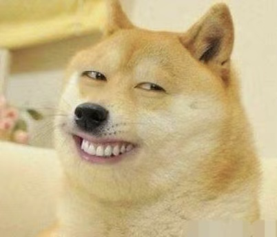 柴犬狗狗币头像(柴犬币是什么意思) 柴犬狗狗币头像(柴犬币是什么意思)