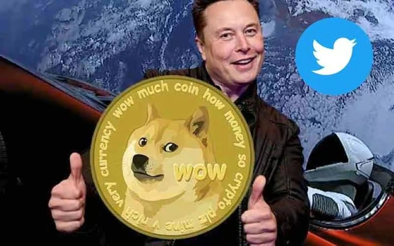 推特什么时候接受狗狗币(5年疯涨750倍的狗狗币)