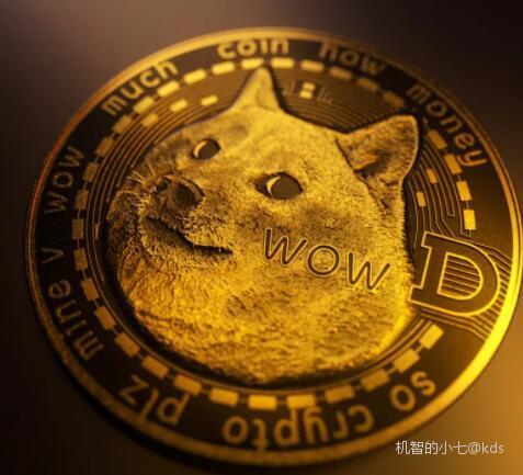 真实的狗狗币图片大全(真实的狗狗币图片大全集)