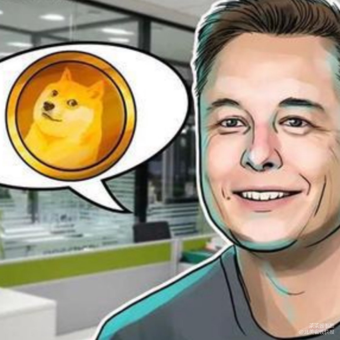 柴犬狗狗币头像(柴犬币有什么用途)