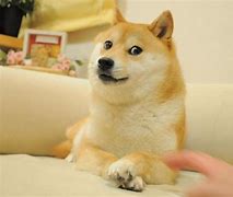 狗币跟狗狗币(狗币和狗狗币)