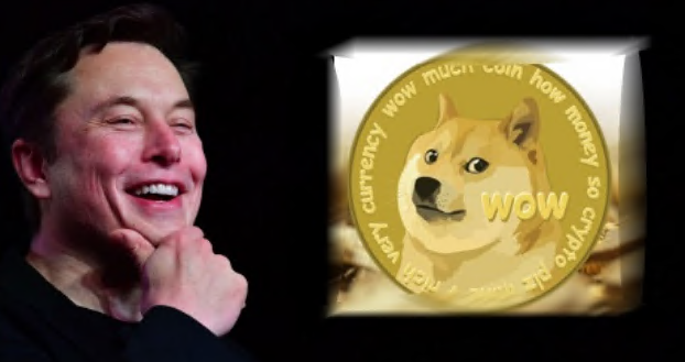 狗狗币7月4日价格(狗狗币最新价格走势图)