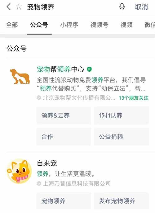 狗狗币怎么改中文(狗狗币怎么换回人民币)