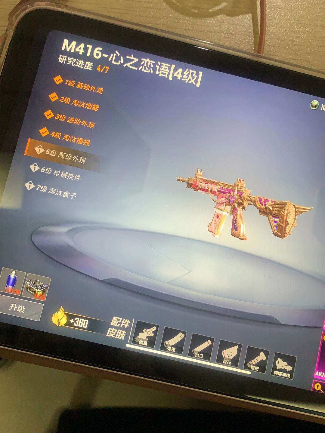 416狗狗币(417狗狗币)