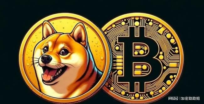 什么叫狗狗币(狗狗币是什么玩意) 什么叫狗狗币(狗狗币是什么玩意)