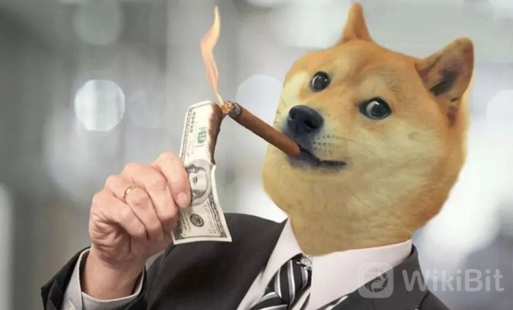 皇狗狗币(狗王是什么币)