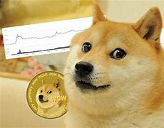 狗狗币初始发行价是多少(狗狗币从发行到现在涨了多少)