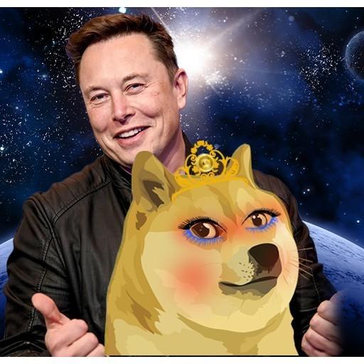 狗狗币125倍合约(狗狗币现货和合约区别)