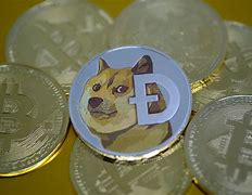 狗狗币狗币日(狗狗币每日交易时间)