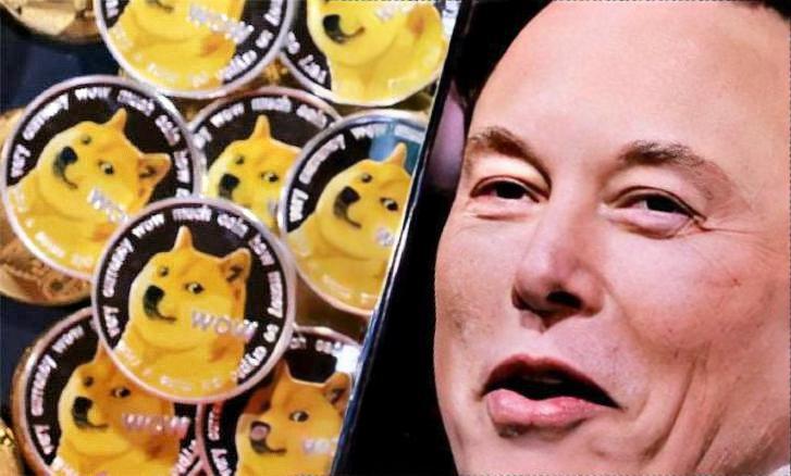 狗狗币近期视频(狗狗币币最新价格行情)