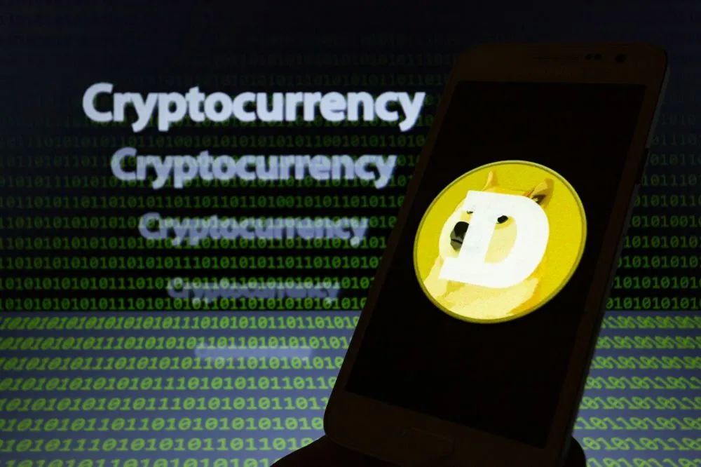 新版狗狗币白皮书(新版狗狗币白皮书怎么用)