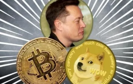 狗狗币巨鲸(狗狗币160万倍)