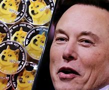 马克斯布局狗狗币(马斯克称将全力支持狗狗币)