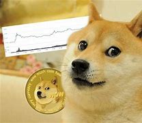 狗狗币2021涨了多少(狗狗币2021年涨了多少) 狗狗币2021涨了多少(狗狗币2021年涨了多少)