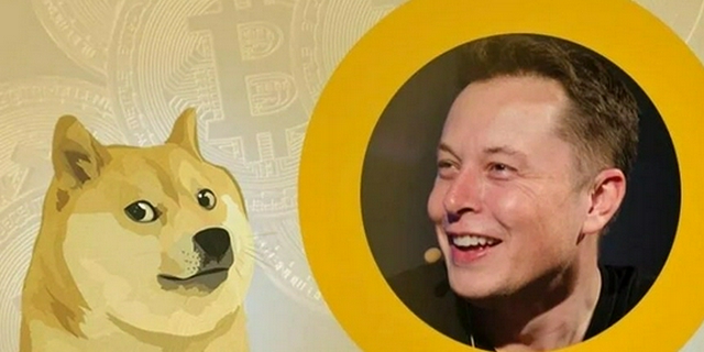 狗狗币创始人骂马斯克(狗狗币创始人称再也不入币圈) 狗狗币创始人骂马斯克(狗狗币创始人称再也不入币圈)