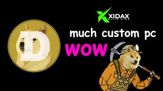 用电脑可以买狗狗币吗(能买狗狗币的是什么平台)