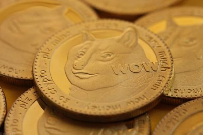 狗狗币上罗宾汉交易所涨了多少(2021年买150万狗狗币现在有多少) 狗狗币上罗宾汉交易所涨了多少(2021年买150万狗狗币现在有多少)