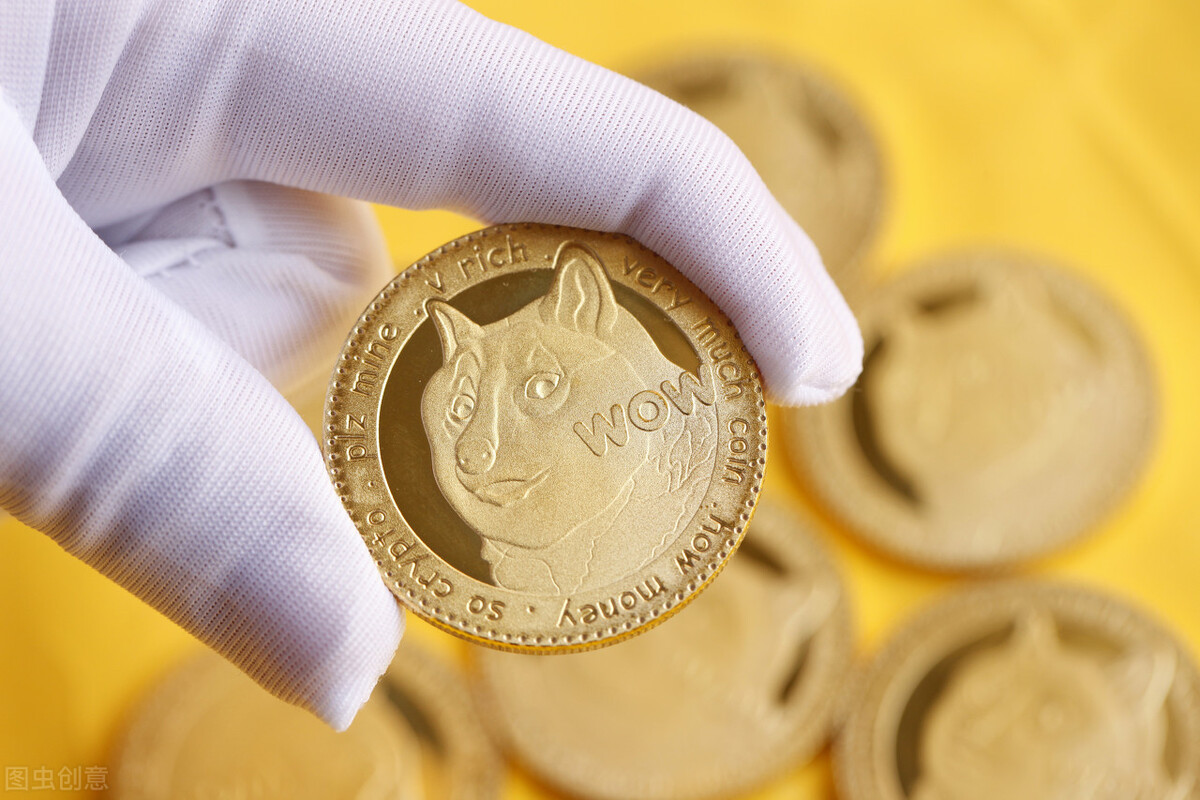 狗狗币会上百吗(狗狗币会涨到1000美元吗)